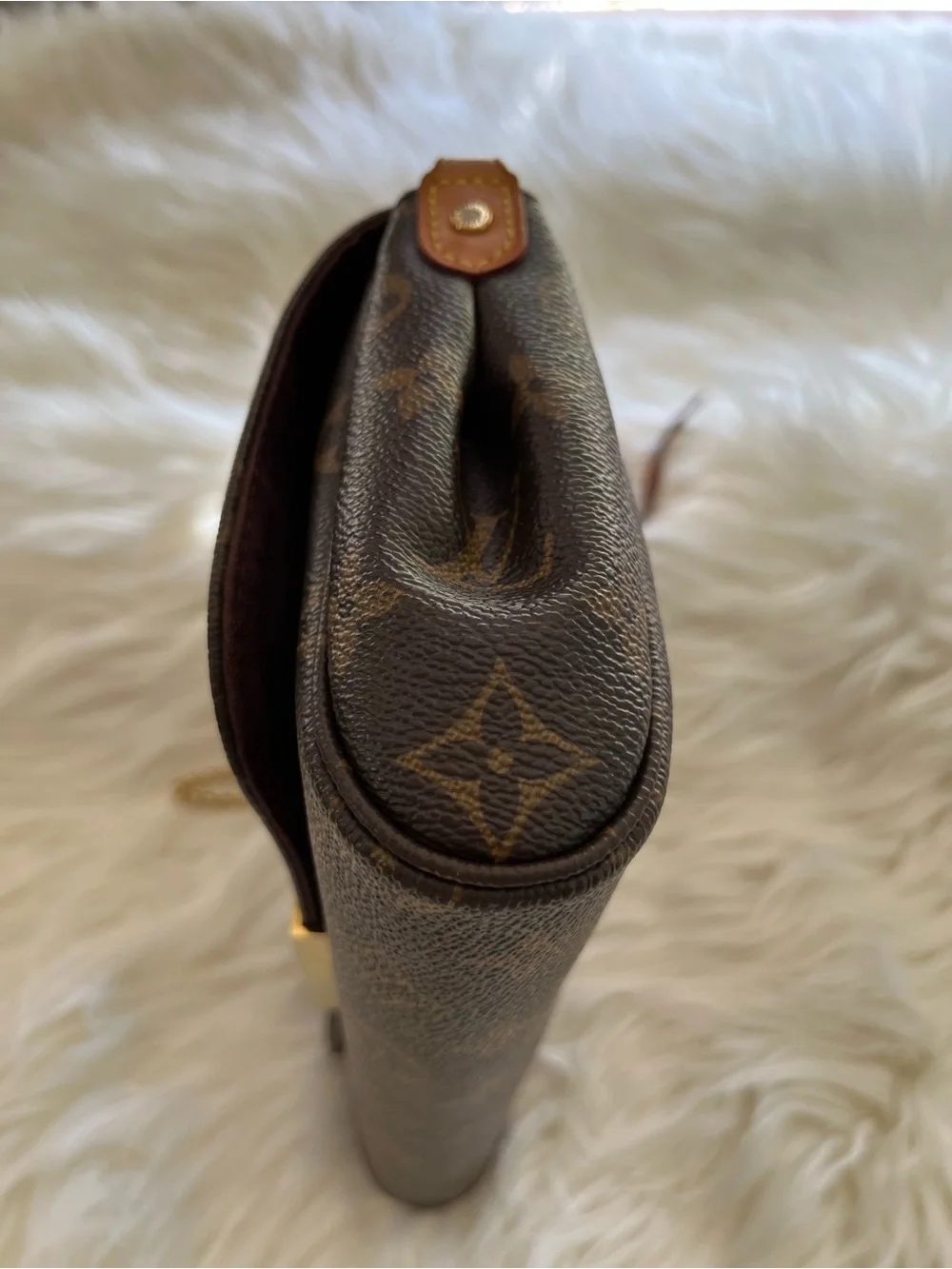 Louis Vuitton Favorite MM